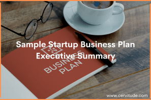 Sample Startup Business Plan Executive Summary