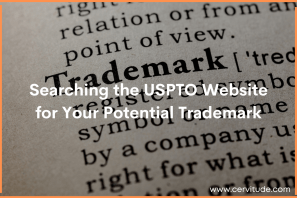 Searching the USPTO Website for Your Potential Trademark