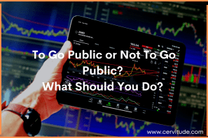 To Go Public or Not To Go Public