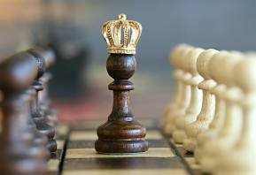 Strategic Board Building: Navigating the Dynamics of Public Companies