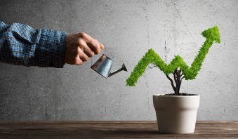 The Roadmap to Success: Developing Policies and Procedures for Growth