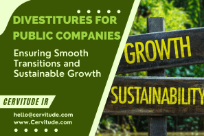 Divestitures for Public Companies: Ensuring Smooth Transitions and Sustainable Growth
