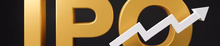 Roadmap to Public Offering: Creating a Compelling IPO Business Plan