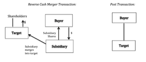 Building a Strong Case for Your Reverse Merger: What Investors Want to See