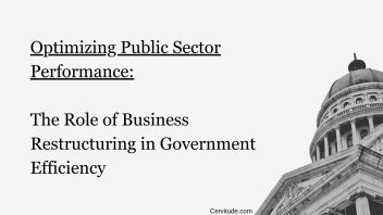 Optimizing Public Sector Performance: The Role of Business Restructuring in Government Efficiency